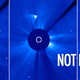 Illustration for article titled Zombie Comet ISON Refuses to Die!
